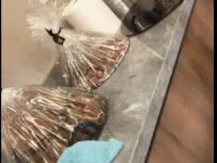 New Project - 2026-02-14T220957.507