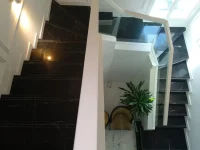 New Project - 2026-02-15T111248.081