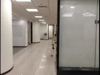 New Project - 2026-02-15T112357.148